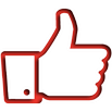 Facebook Like